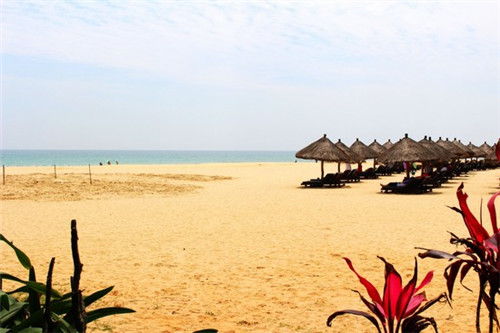 加盟卞阿姨奶茶经营多久才能够回本，卞阿姨奶茶为什么这么受欢迎