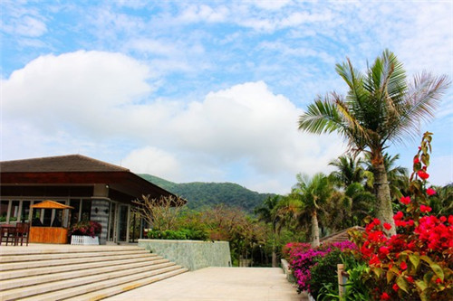 曾经我悲欢离合是什么歌（曾经我痛原唱）