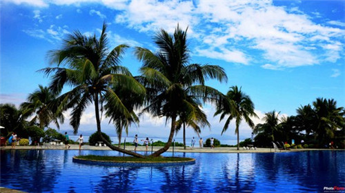 疫情中的十大骗局是什么（疫情下的诈骗手段）