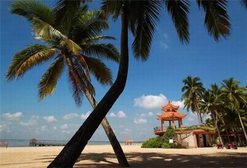 直到你消失不见是什么歌（直到消失你才懂得什么歌曲）