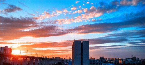 malianshi是什么品牌（magliano是什么牌子）