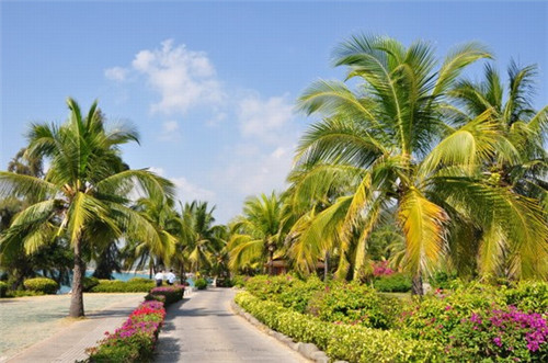 黑陶茶壶旅行茶具（黑陶茶壶价格）